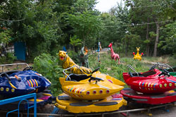 _DSC3760.jpg _DSC3760.jpg