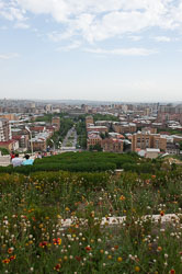 _DSC3783.jpg _DSC3783.jpg