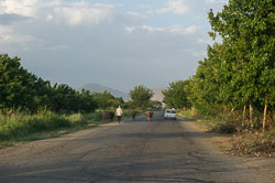 _DSC3797.jpg _DSC3797.jpg