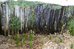 _DSC3929.jpg _DSC3929.jpg