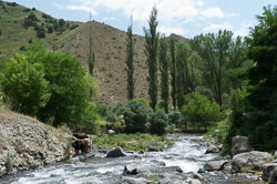 _DSC3932.jpg _DSC3932.jpg