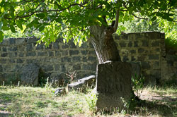 _DSC3956.jpg _DSC3956.jpg