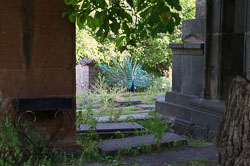 _DSC3960.jpg _DSC3960.jpg