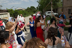 _DSC4192.jpg _DSC4192.jpg