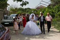 _DSC4200.jpg _DSC4200.jpg