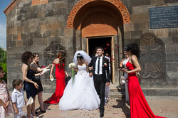 _DSC4282.jpg _DSC4282.jpg