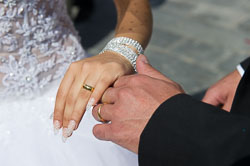 _DSC4289.jpg _DSC4289.jpg