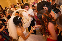 _DSC4461.jpg _DSC4461.jpg