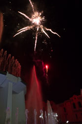 _DSC4496.jpg _DSC4496.jpg