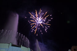 _DSC4503.jpg _DSC4503.jpg