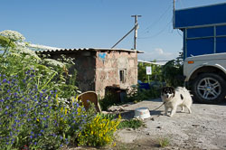 _DSC4713.jpg _DSC4713.jpg