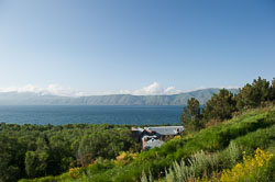 _DSC4722.jpg _DSC4722.jpg