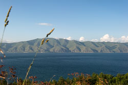 _DSC4762.jpg _DSC4762.jpg