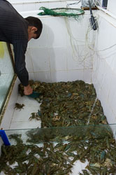 _DSC4778.jpg _DSC4778.jpg