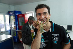 _DSC4785.jpg _DSC4785.jpg