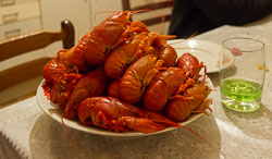 fertig! _DSC4813.jpg