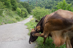 _DSC4841.jpg _DSC4841.jpg