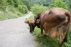 _DSC4842.jpg _DSC4842.jpg