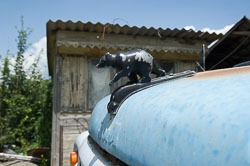 _DSC4857.jpg _DSC4857.jpg