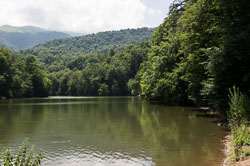 _DSC4863.jpg _DSC4863.jpg