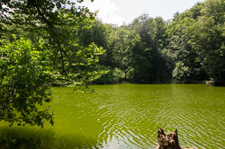 _DSC4865.jpg _DSC4865.jpg