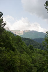 _DSC4877.jpg _DSC4877.jpg