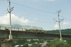 _DSC4931.jpg _DSC4931.jpg