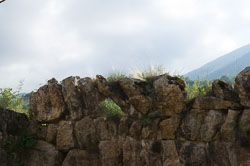 _DSC4971.jpg _DSC4971.jpg