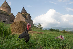 _DSC5019.jpg _DSC5019.jpg