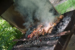 _DSC5074.jpg _DSC5074.jpg