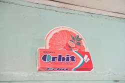 _DSC5089.jpg _DSC5089.jpg