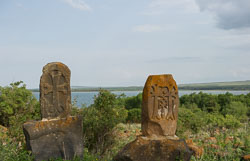 _DSC5101.jpg _DSC5101.jpg