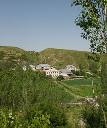 _DSC5219.jpg _DSC5219.jpg