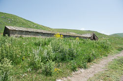 _DSC5279.jpg _DSC5279.jpg