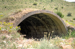 _DSC5301_2_3_4_5.jpg _DSC5301_2_3_4_5.jpg