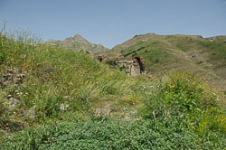 _DSC5316.jpg _DSC5316.jpg