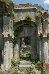 _DSC5323.jpg _DSC5323.jpg