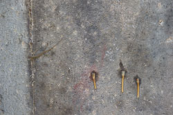 _DSC5326.jpg _DSC5326.jpg