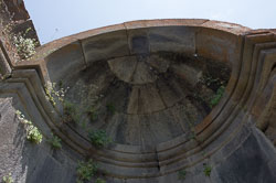 _DSC5335.jpg _DSC5335.jpg