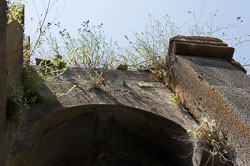 _DSC5336.jpg _DSC5336.jpg