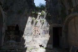 _DSC5337.jpg _DSC5337.jpg