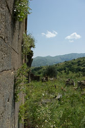 _DSC5356.jpg _DSC5356.jpg