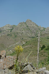 _DSC5360.jpg _DSC5360.jpg