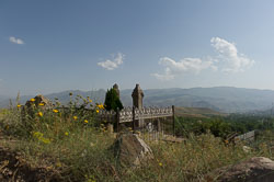 _DSC5374.jpg _DSC5374.jpg