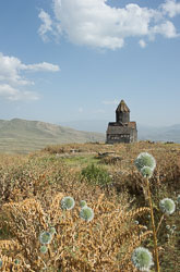 _DSC5396.jpg _DSC5396.jpg