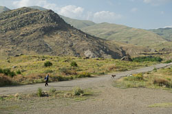 _DSC5414.jpg _DSC5414.jpg