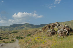 _DSC5422.jpg _DSC5422.jpg