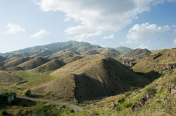 _DSC5424.jpg _DSC5424.jpg