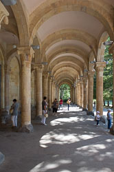 _DSC5446.jpg _DSC5446.jpg