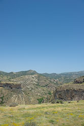 _DSC5494.jpg _DSC5494.jpg